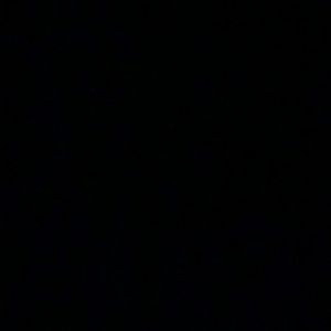 Meet your Posher, Samuel